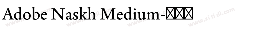 Adobe Naskh Medium字体转换 Adobe Naskh Medium字体转换